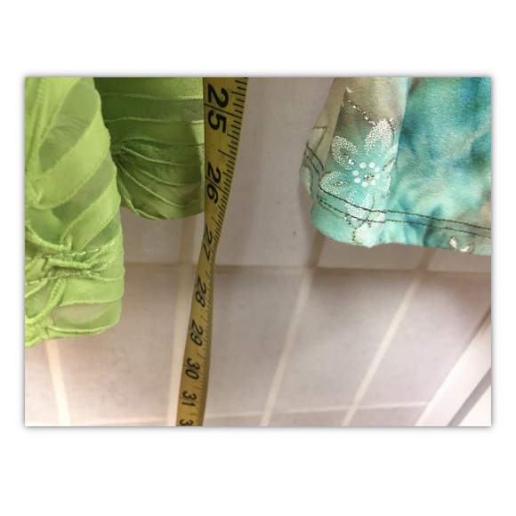 Dressbarn/Draper’s Damon, blouses(2), size 2X/3X.: - Picture 3 of 12